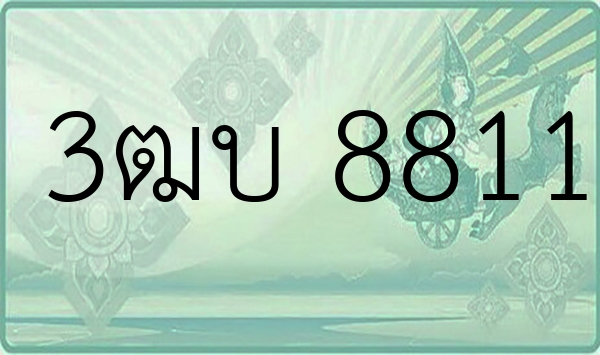3ฒบ 8811